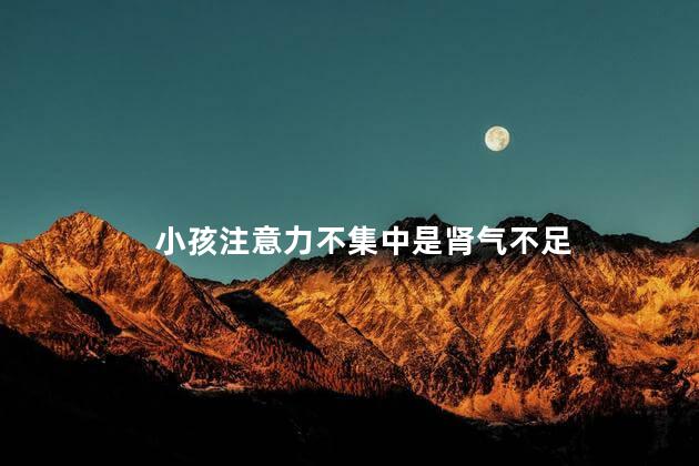 小孩注意力不集中是肾气不足