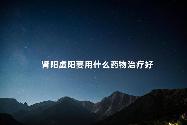 肾阳虚阳萎用什么药物治疗好