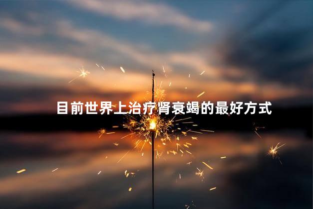 目前世界上治疗肾衰竭的最好方式