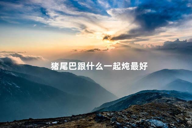 猪尾巴跟什么一起炖最好
