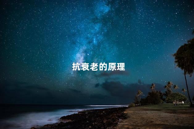 抗衰老的原理