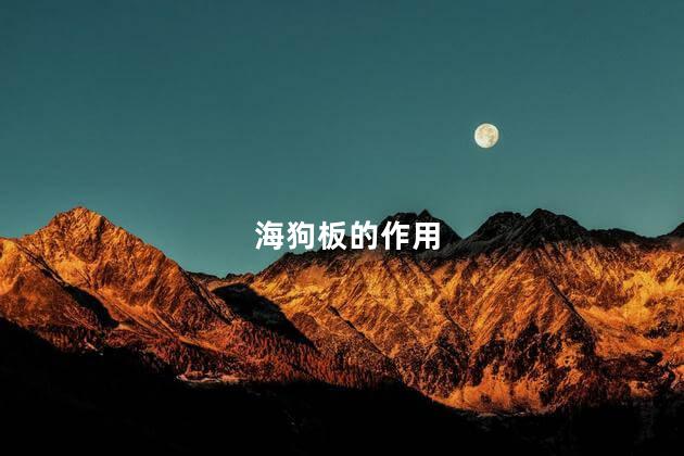 海狗板的作用