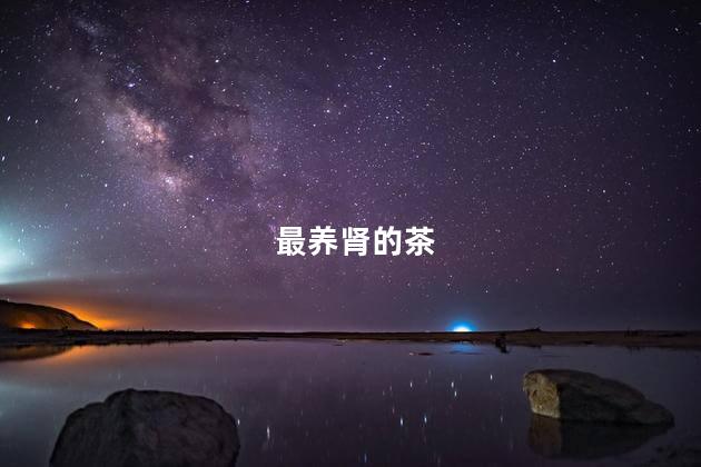 最养肾的茶
