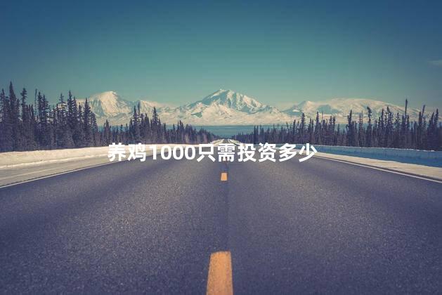 养鸡1000只需投资多少