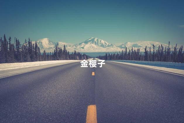 金樱子