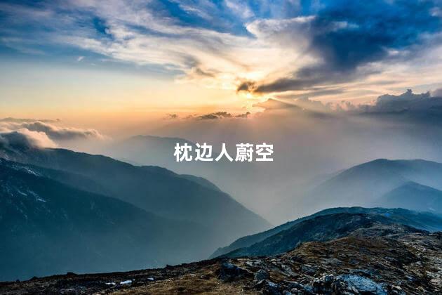 枕边人蔚空