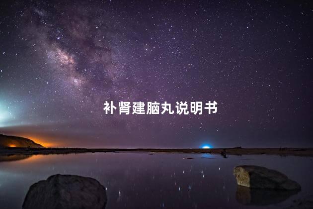 补肾建脑丸说明书