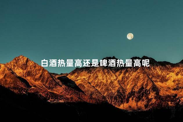 白酒热量高还是啤酒热量高呢