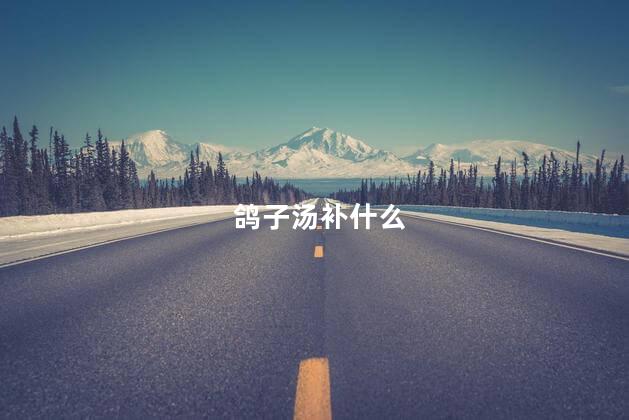 鸽子汤补什么