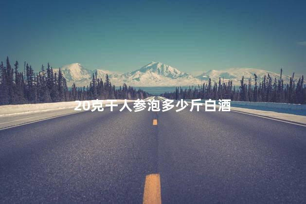 20克干人参泡多少斤白酒
