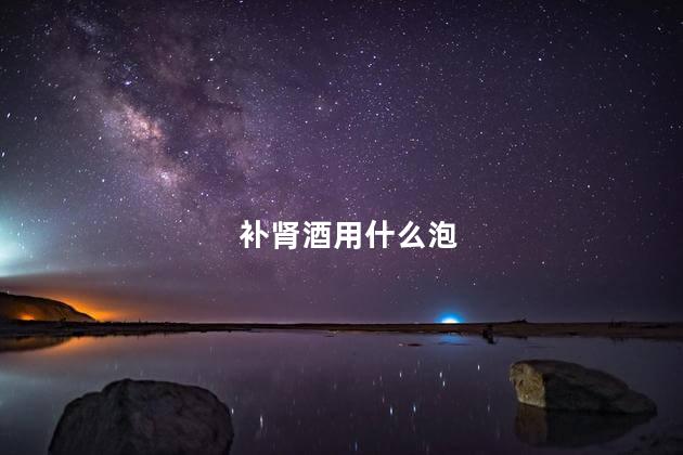补肾酒用什么泡