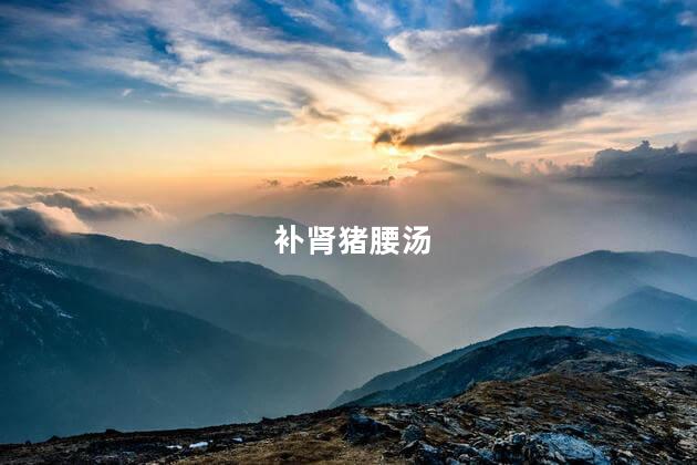 补肾猪腰汤