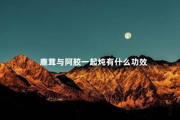 鹿茸与阿胶一起炖有什么功效