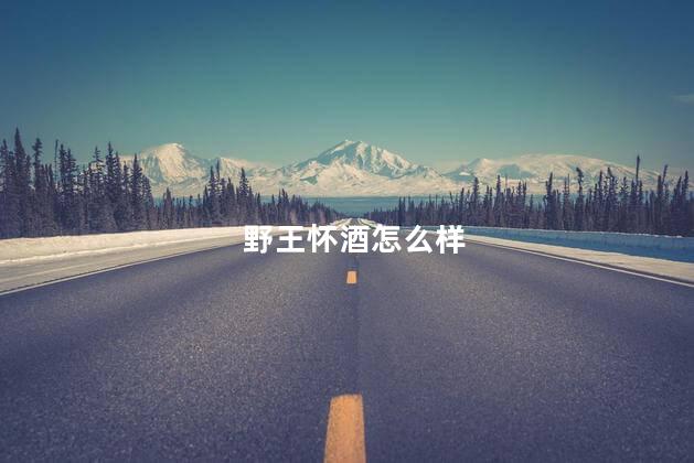 野王怀酒怎么样