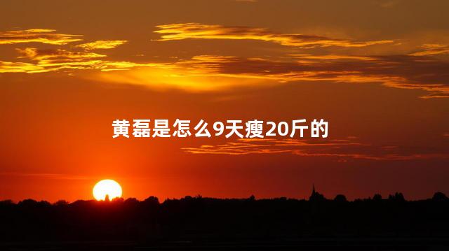 黄磊是怎么9天瘦20斤的