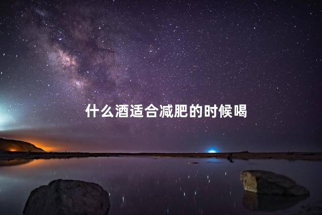 什么酒适合减肥的时候喝