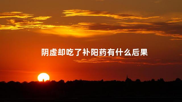 阴虚却吃了补阳药有什么后果