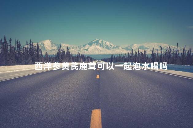 西洋参黄芪鹿茸可以一起泡水喝吗