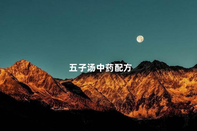 五子汤中药配方