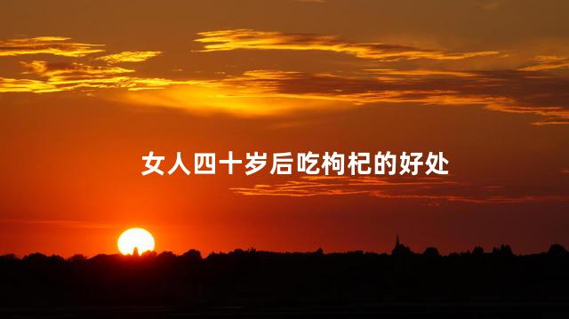 女人四十岁后吃枸杞的好处