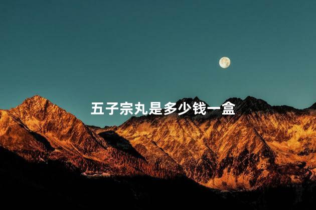 五子宗丸是多少钱一盒