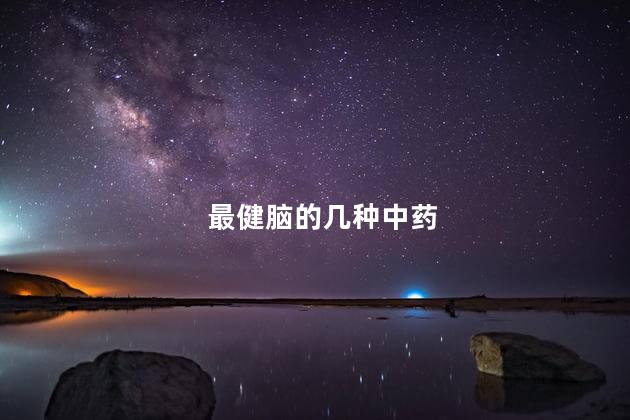 最健脑的几种中药