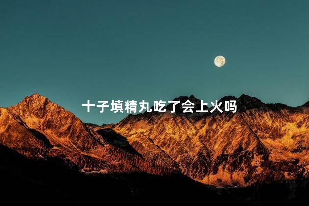 十子填精丸吃了会上火吗