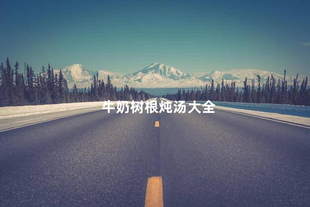 牛奶树根炖汤大全