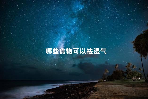 哪些食物可以祛湿气
