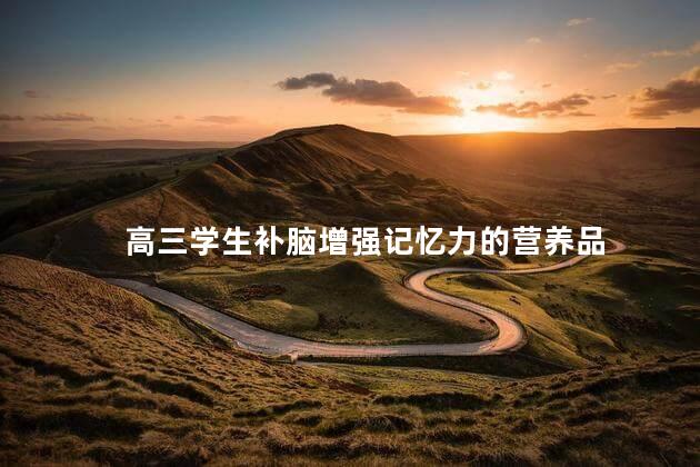 高三学生补脑增强记忆力的营养品