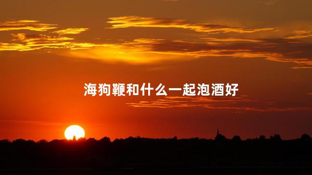 海狗鞭和什么一起泡酒好
