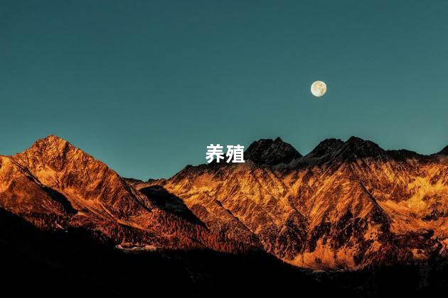 养殖