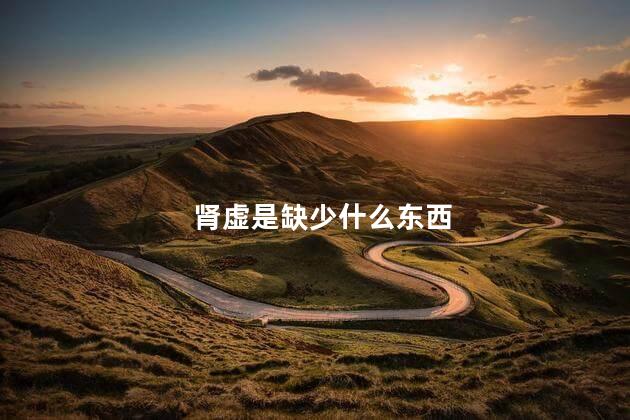 肾虚是缺少什么东西