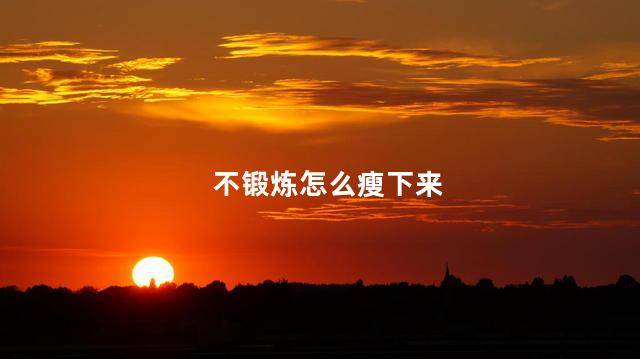 不锻炼怎么瘦下来