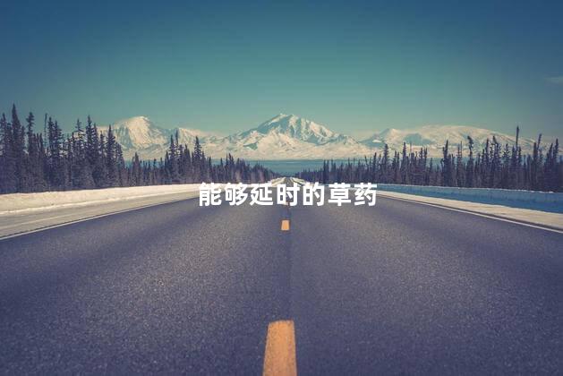能够延时的草药