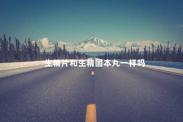 生精片和生精固本丸一样吗