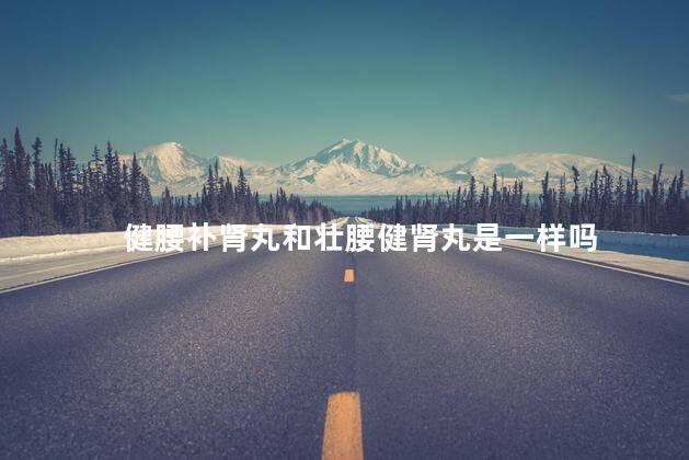 健腰补肾丸和壮腰健肾丸是一样吗