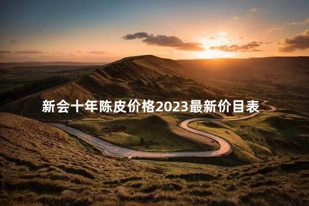新会十年陈皮价格2023最新价目表