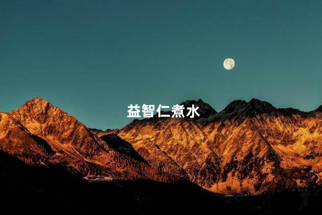 益智仁煮水