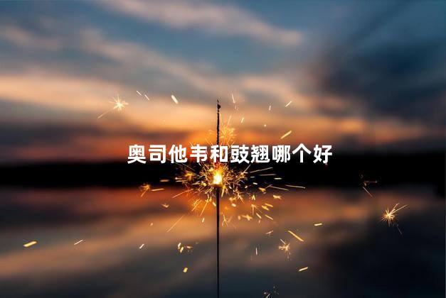 奥司他韦和豉翘哪个好