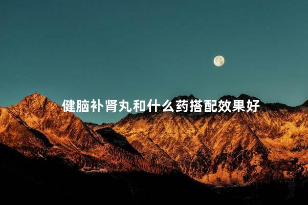 健脑补肾丸和什么药搭配效果好