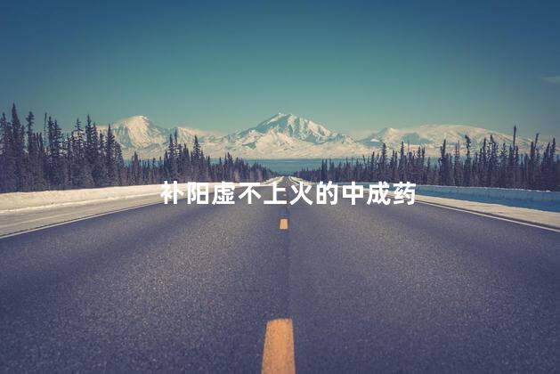 补阳虚不上火的中成药