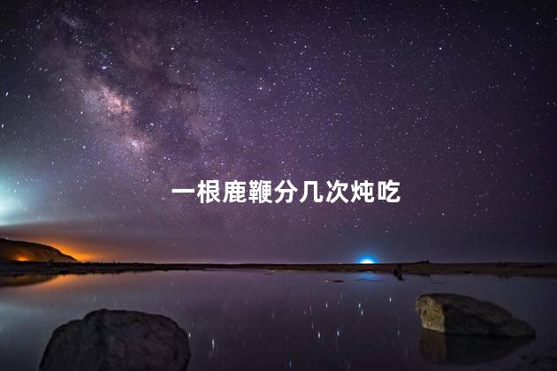一根鹿鞭分几次炖吃