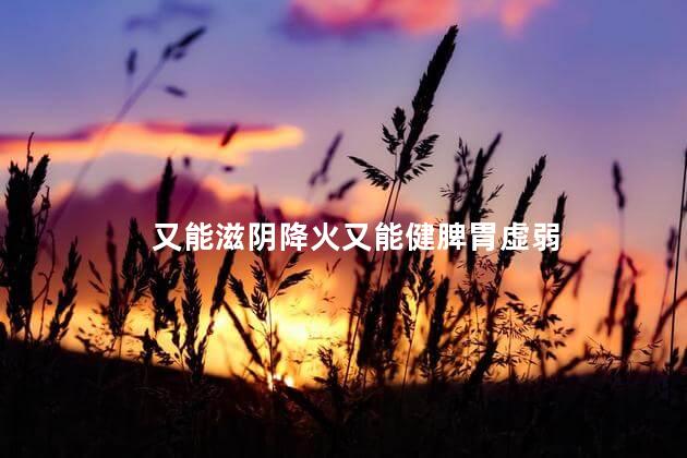 又能滋阴降火又能健脾胃虚弱