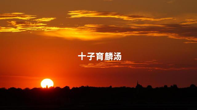 十子育麟汤