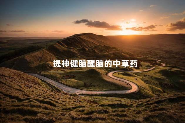 提神健脑醒脑的中草药
