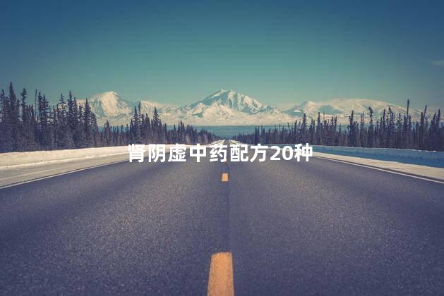 肾阴虚中药配方20种