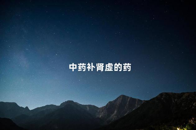 中药补肾虚的药