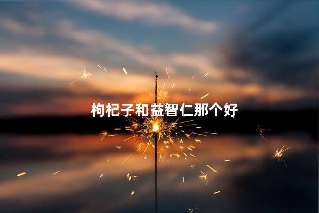 枸杞子和益智仁那个好