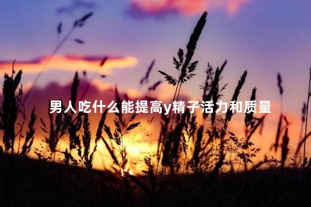 男人吃什么能提高y精子活力和质量